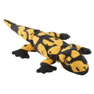 Obrázek z Mlok skvrnitý, plyš 40cm(6) 